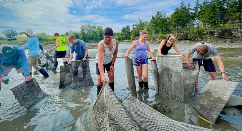 A group of students use nets to clean the water as part of a service project. 